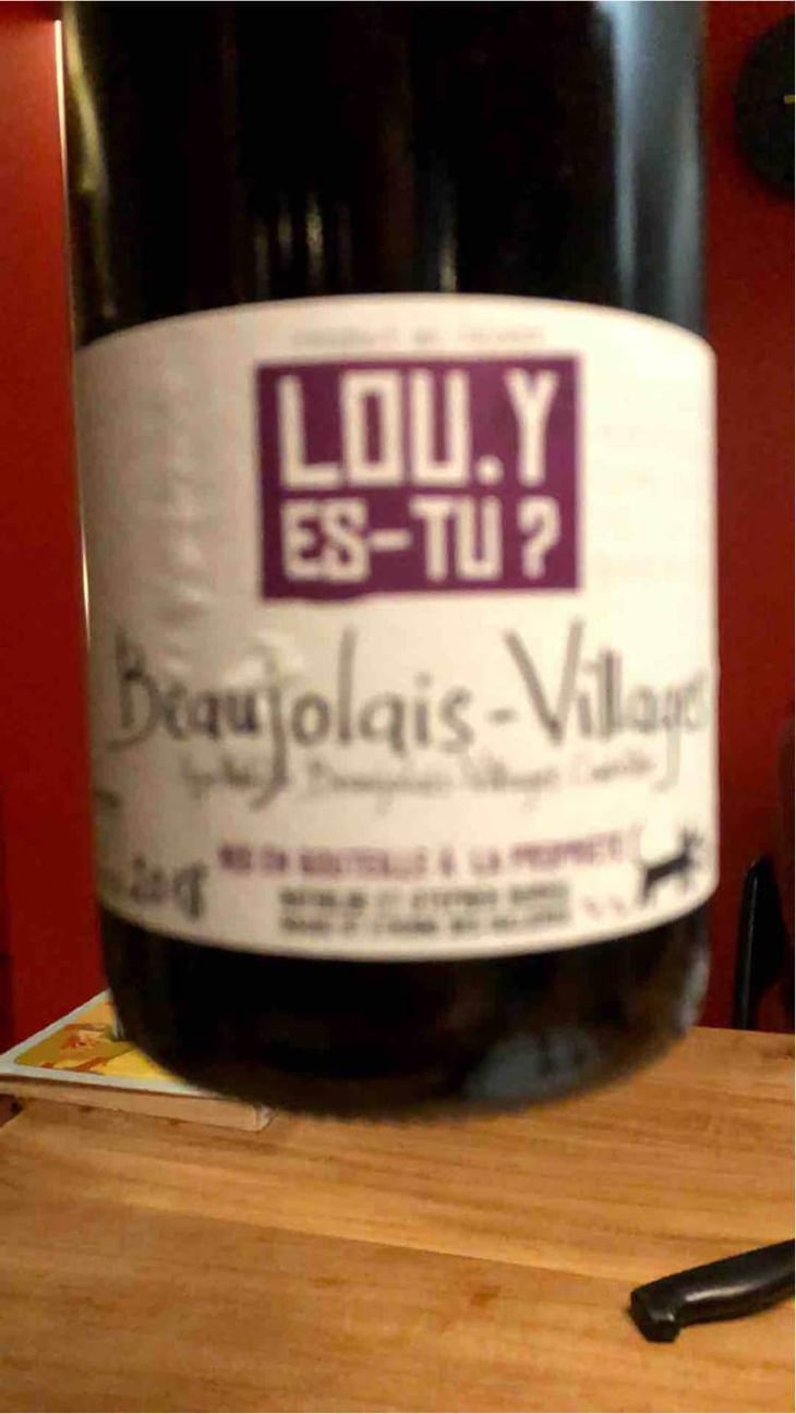 Beaujolais-Villages - Lou. Y Es-Tu? - Mathilde & Stephen Durieu 