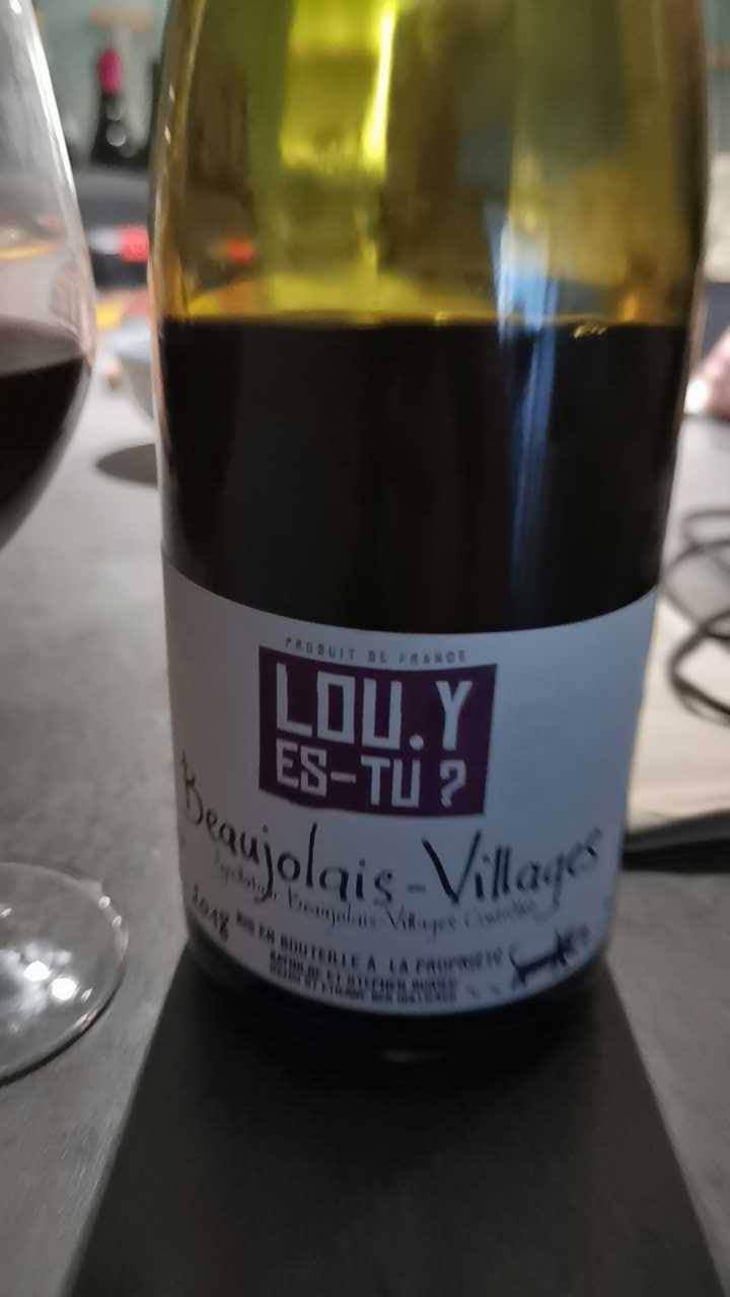 Beaujolais-Villages - Lou. Y Es-Tu? - Mathilde & Stephen Durieu 