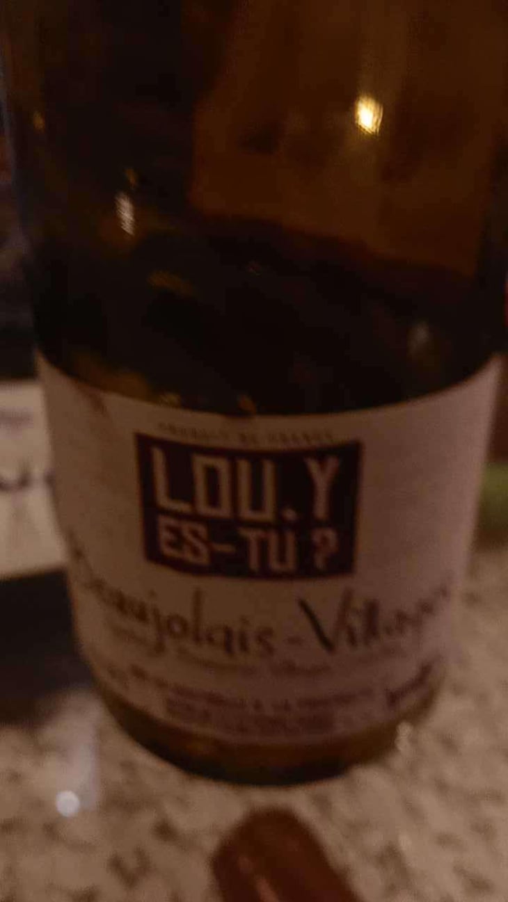 Beaujolais-Villages - Lou. Y Es-Tu? - Mathilde & Stephen Durieu 