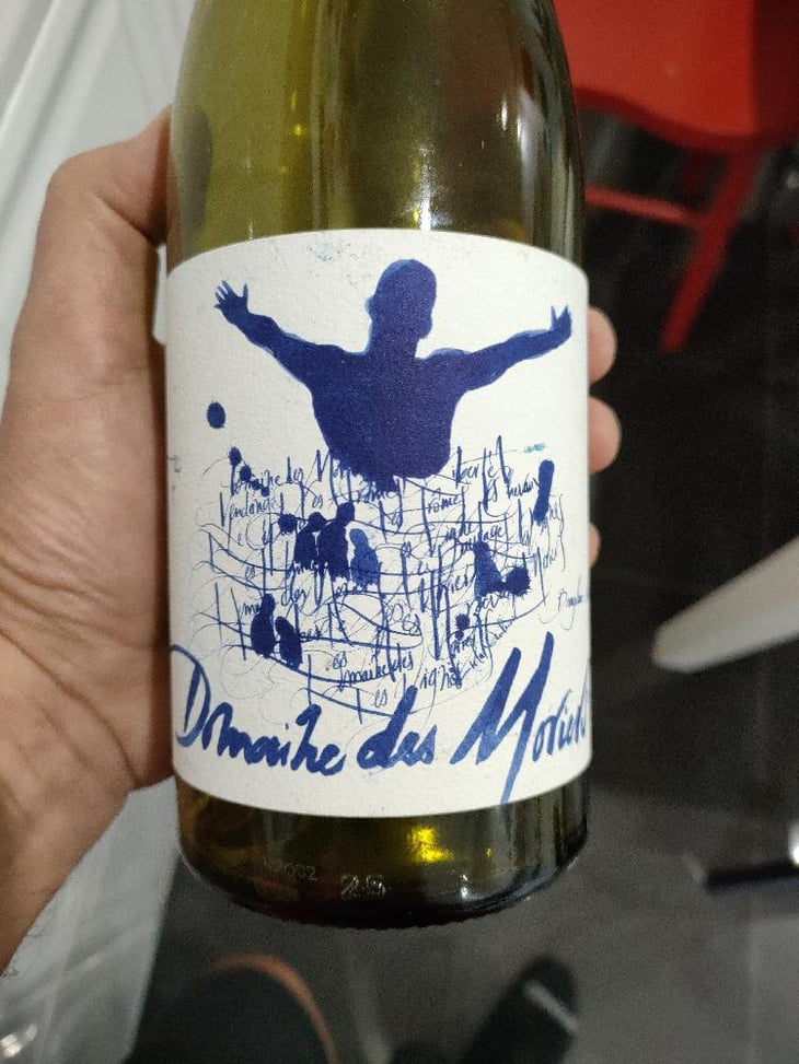 Beaujolais-villages - Domaine Des Moriers - Domaine Des Moriers 