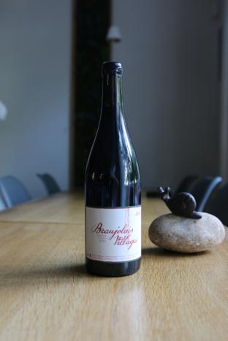 Beaujolais Village - Domaine Moulette - Catherine Jouineau & Moulinot 