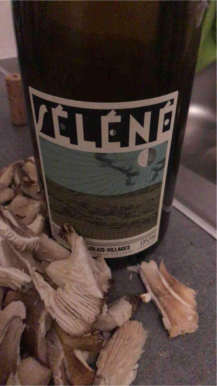 Beaujolais Villages Blanc - Séléné - Sylvère Trichard 