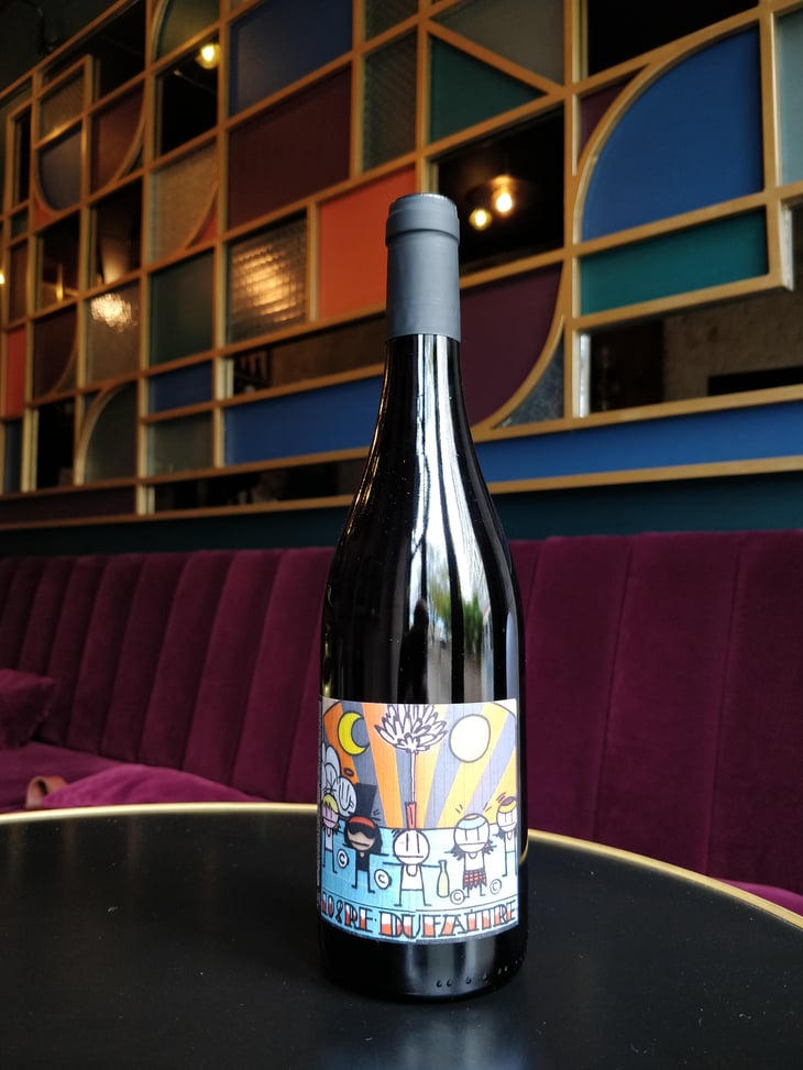 Beaujolais Nouveau - Domaine de Botheland - Rémi Dufaitre & Laurence Liatard -2021