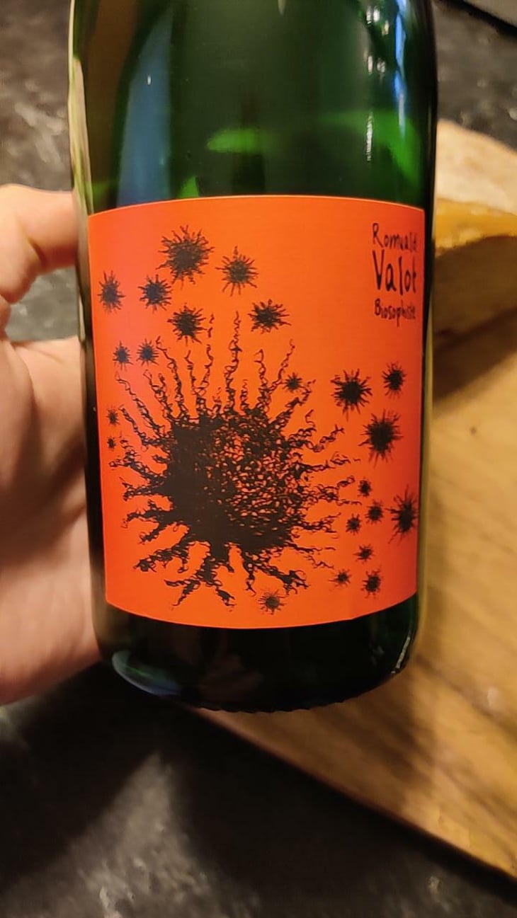 Beaujolais Village - Les Sauvageons - Cosima and Romuald Valot 
