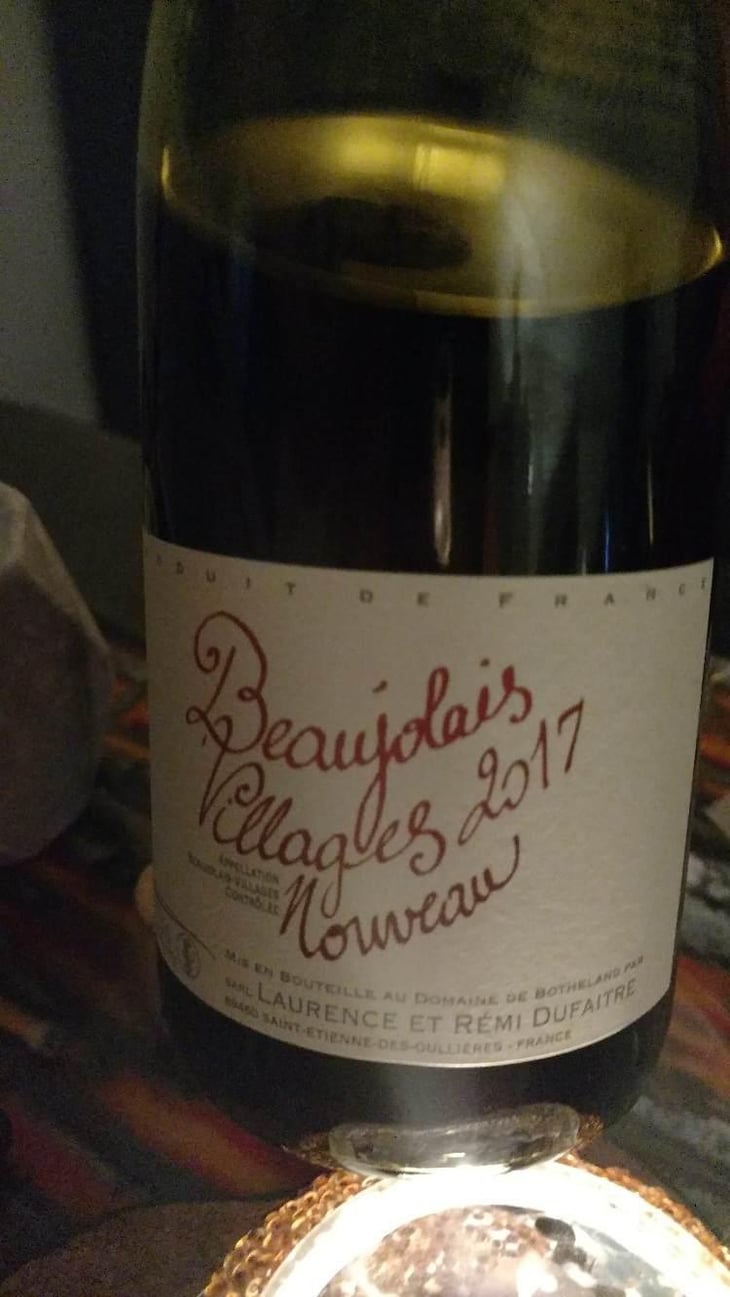 Beaujolais Villages Nouveau - Domaine de Botheland - Rémi Dufaitre & Laurence Liatard 