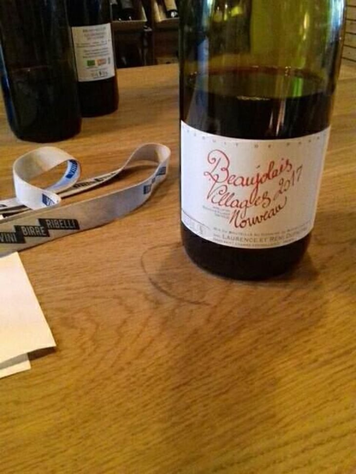 Beaujolais Villages Nouveau - Domaine de Botheland - Rémi Dufaitre & Laurence Liatard 