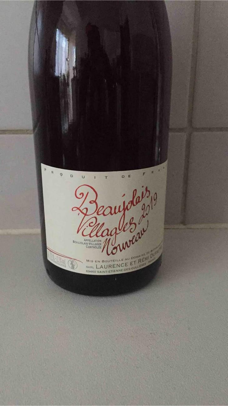 Beaujolais Villages Nouveau - Domaine de Botheland - Rémi Dufaitre & Laurence Liatard 