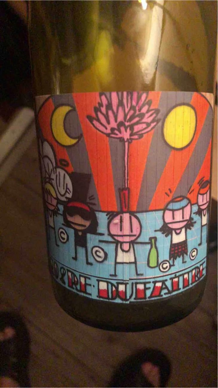 Beaujolais Villages Nouveau - Domaine de Botheland - Rémi Dufaitre & Laurence Liatard 