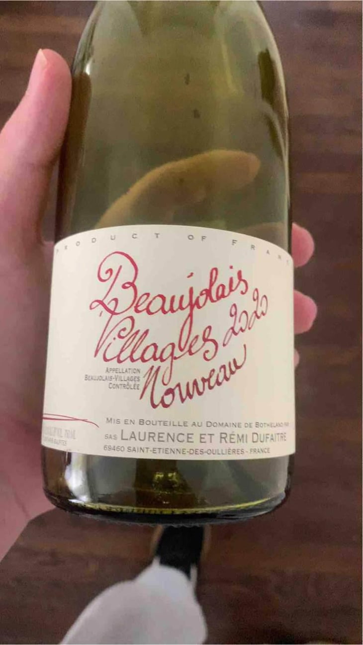 Beaujolais Villages Nouveau - Domaine de Botheland - Rémi Dufaitre & Laurence Liatard 