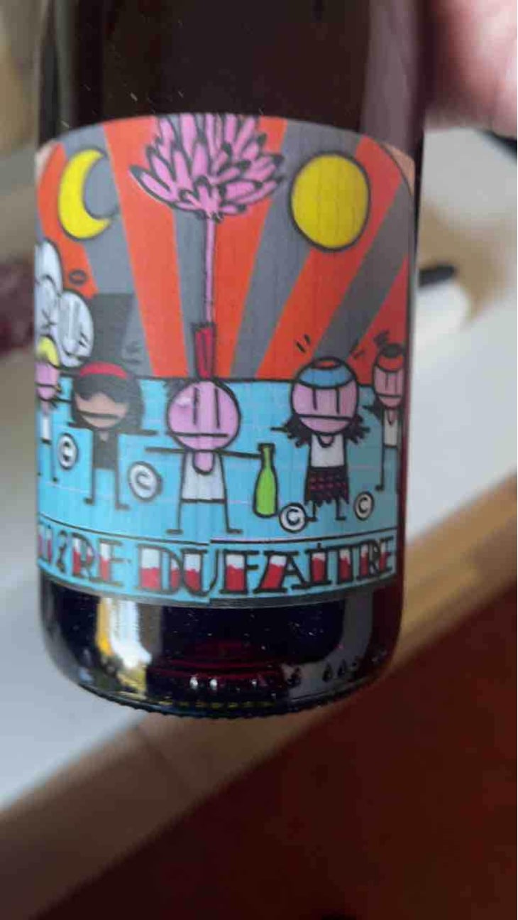 Beaujolais Villages Nouveau - Domaine de Botheland - Rémi Dufaitre & Laurence Liatard 