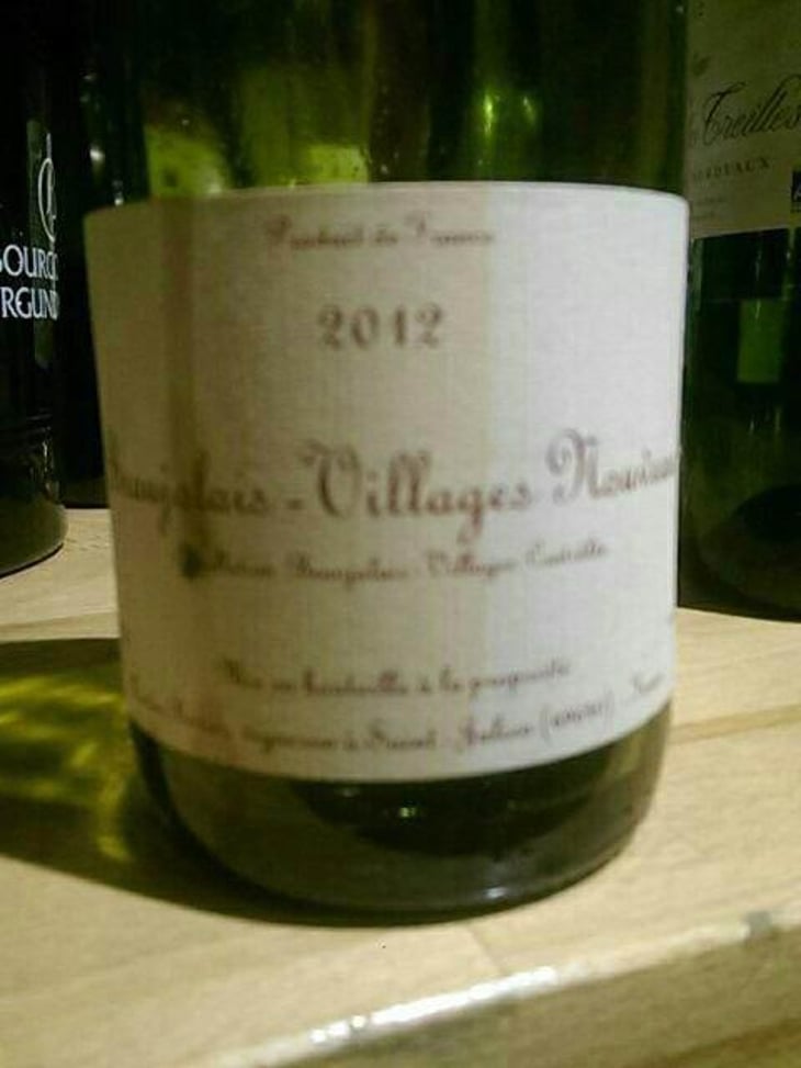 Beaujolais-Villages Nouveau - Xavier Bénier - Xavier Bénier 