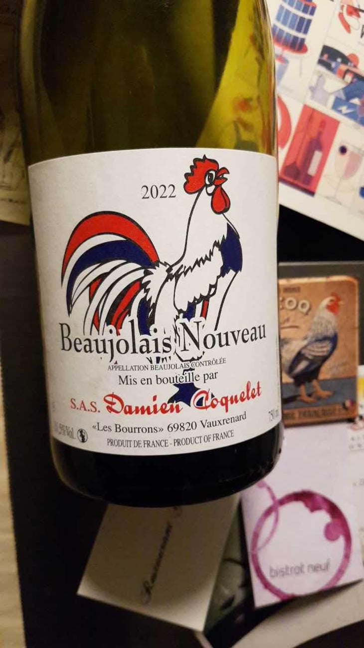 Beaujolais Villages Nouveau - Damien Coquelet - Damien Coquelet 