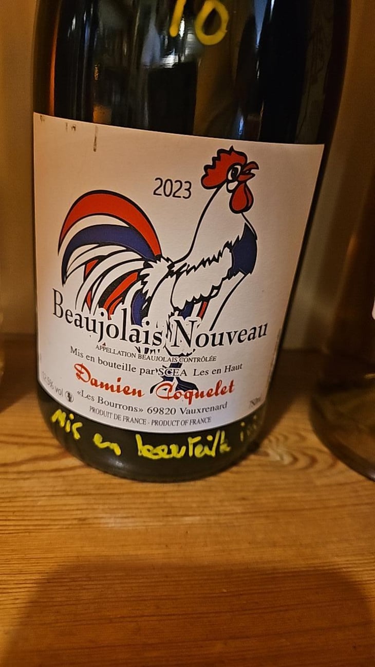 Beaujolais Villages Nouveau - Damien Coquelet - Damien Coquelet 