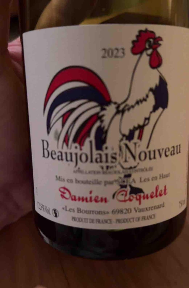 Beaujolais Villages Nouveau - Damien Coquelet - Damien Coquelet 