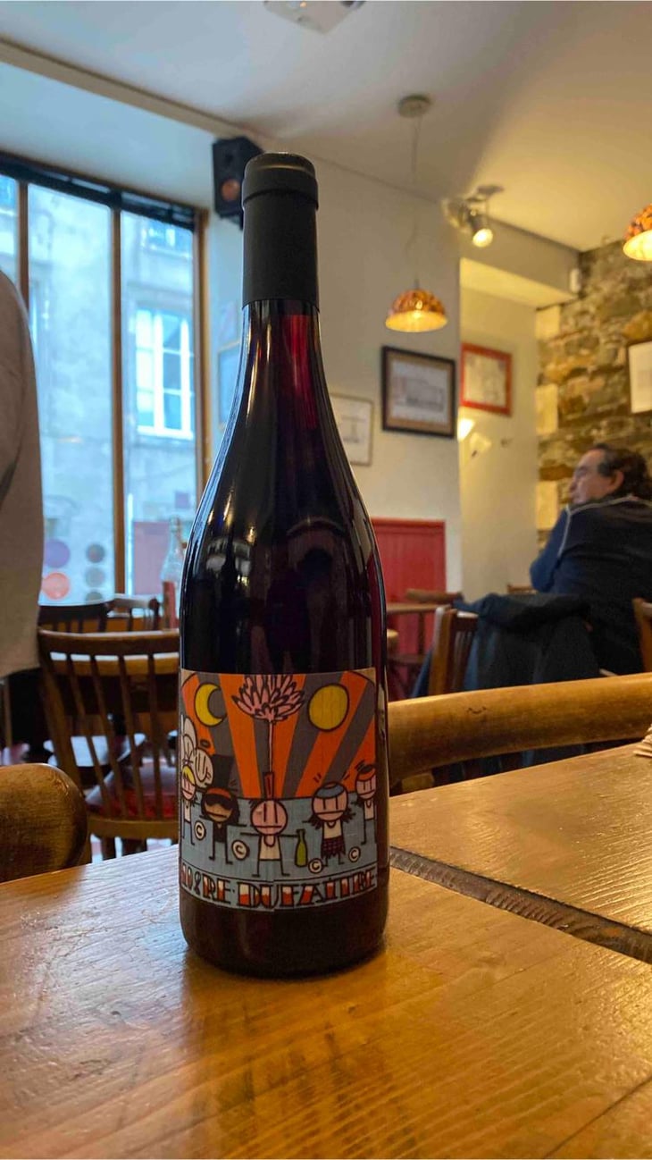 Beaujolais Villages Nouveau - Domaine de Botheland - Rémi Dufaitre & Laurence Liatard 