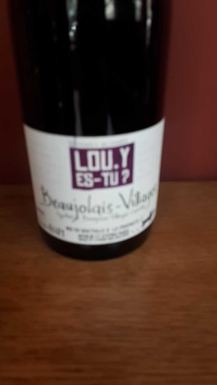 Beaujolais-Villages - Lou. Y Es-Tu? - Mathilde & Stephen Durieu 