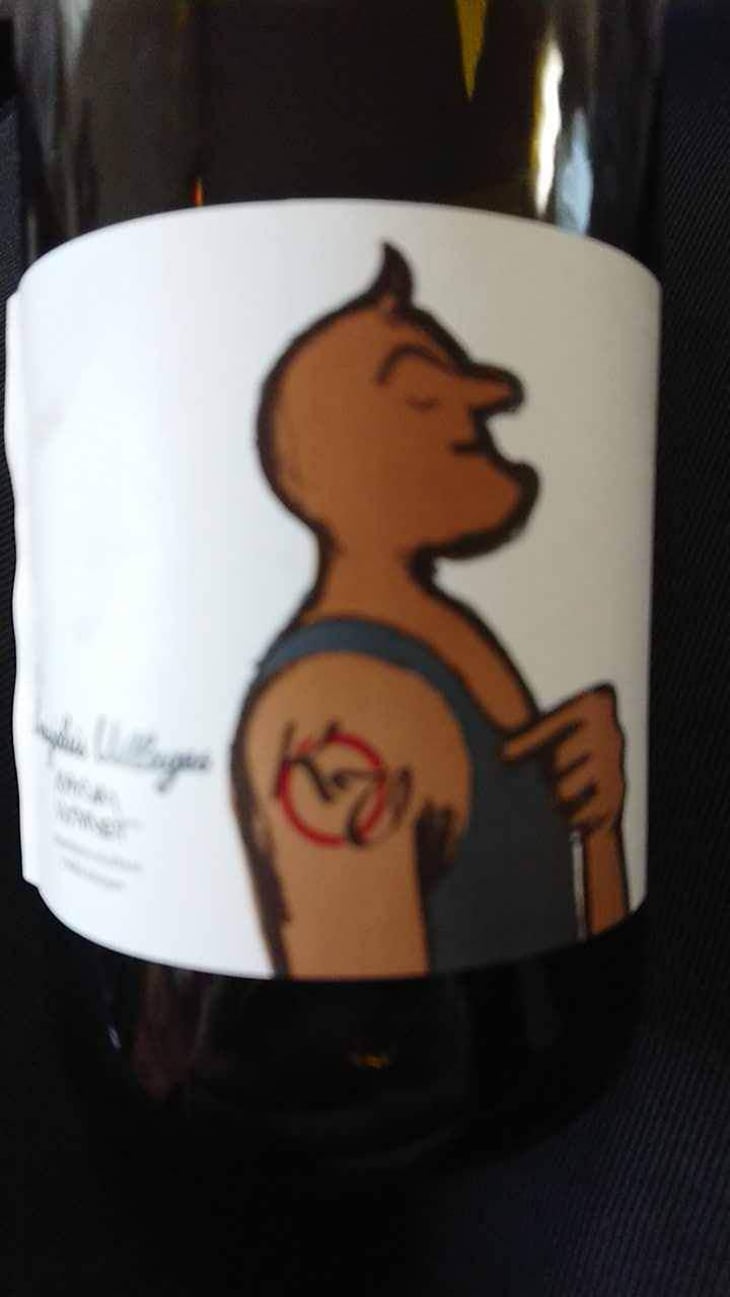 Beaujolais Villages - Karim Vionnet - Karim Vionnet 