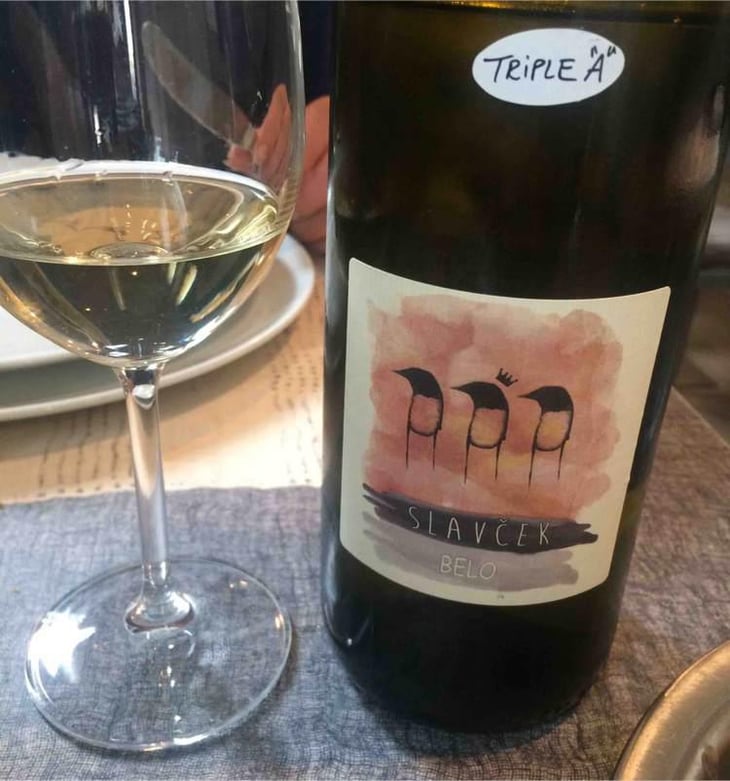 Belo - Slavček - Franc Vodopivec 