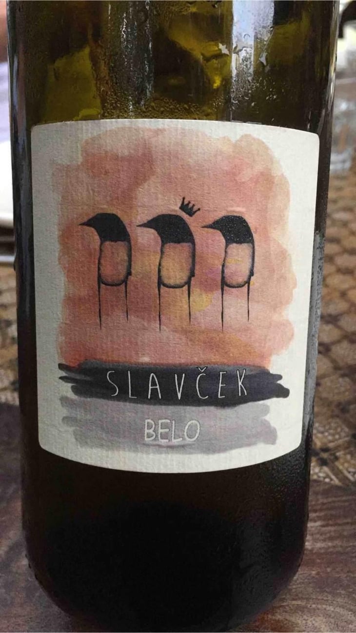 Belo - Slavček - Franc Vodopivec 