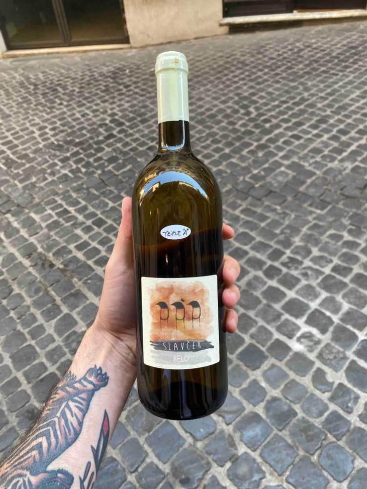 Belo - Slavček - Franc Vodopivec 