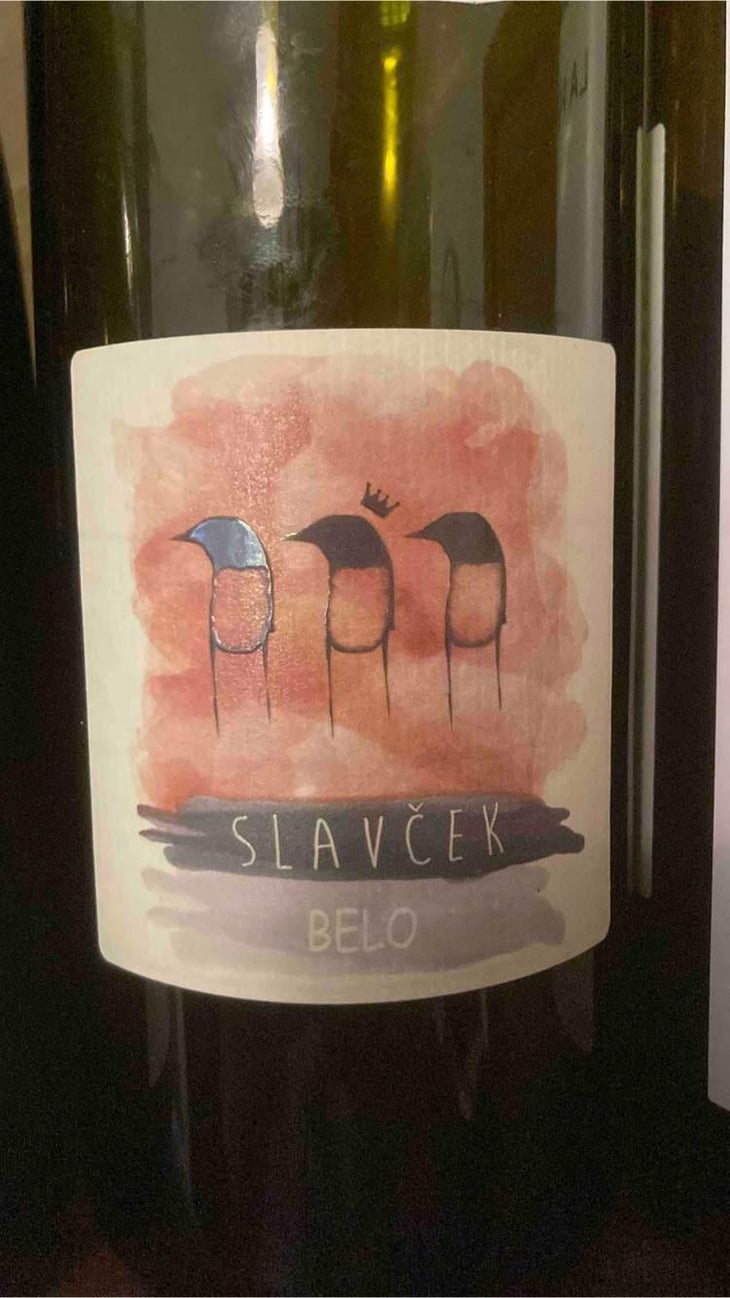 Belo - Slavček - Franc Vodopivec 