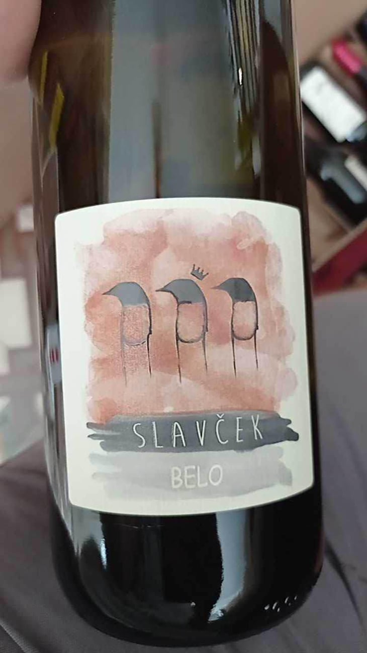 Belo - Slavček - Franc Vodopivec 