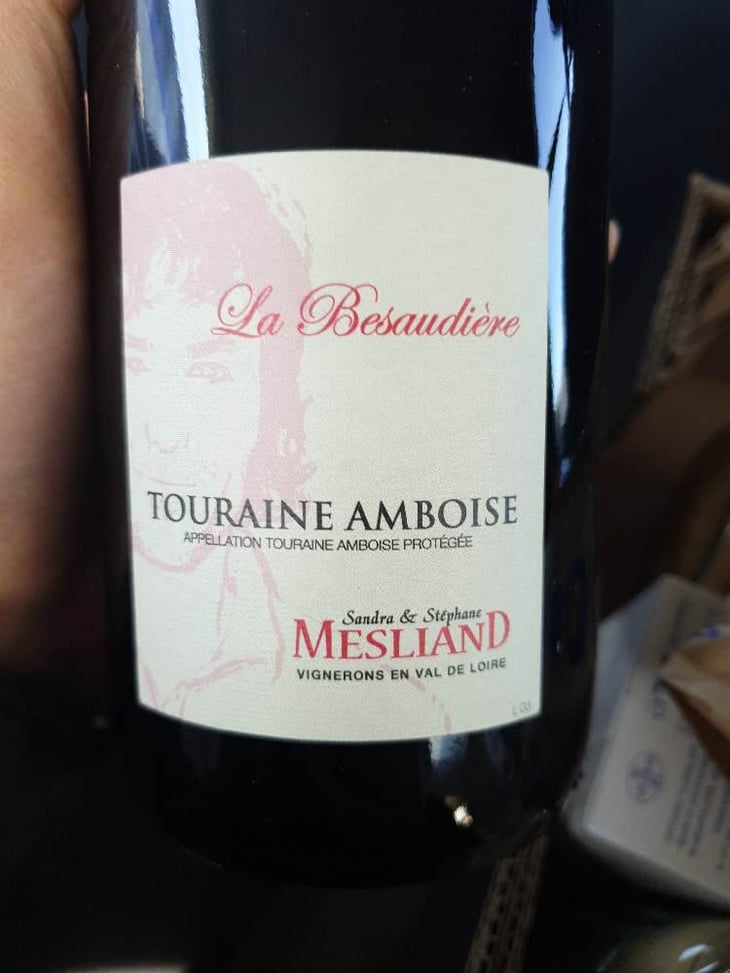Besaudiere - Domaine Mesliand - Sandra & Stéphane Mesliand 