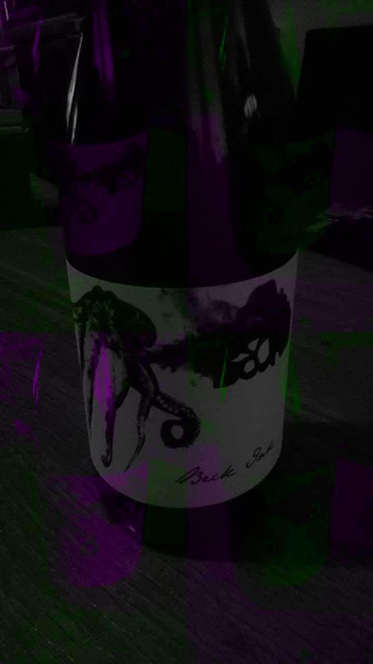 Beck Ink - Weingut Beck - Judith Beck 