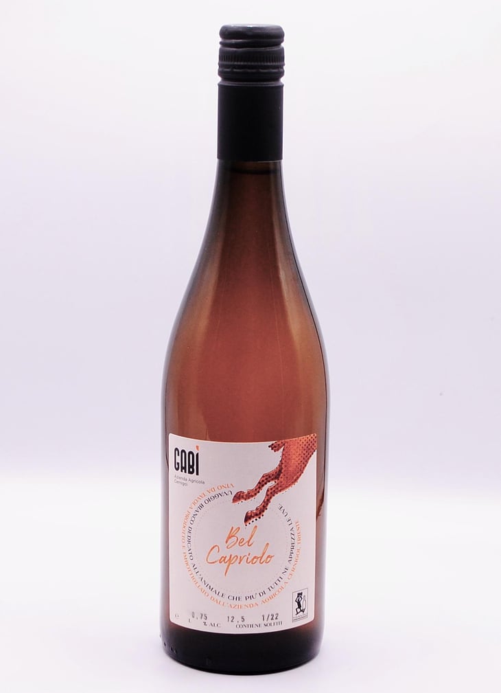 Bel capriolo - Gabì - Gabrijel Cernigoi -2022