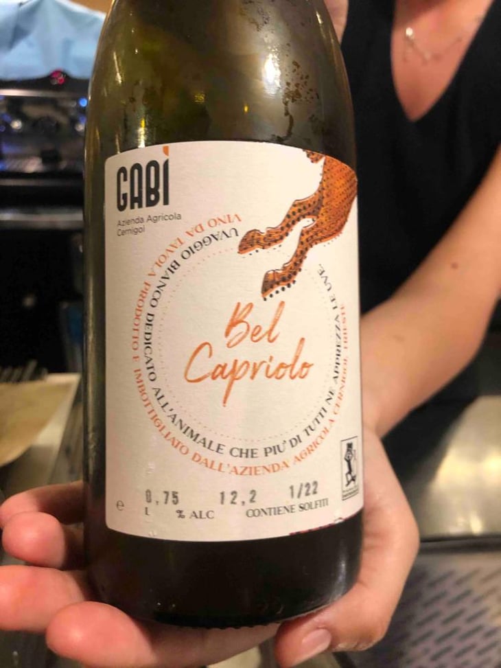 Bel capriolo - Gabì - Gabrijel Cernigoi -2022