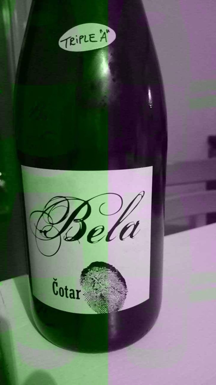 Bela - Čotar - Branko & Vasja Čotar 