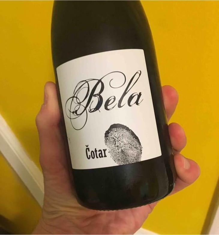 Bela - Čotar - Branko & Vasja Čotar 