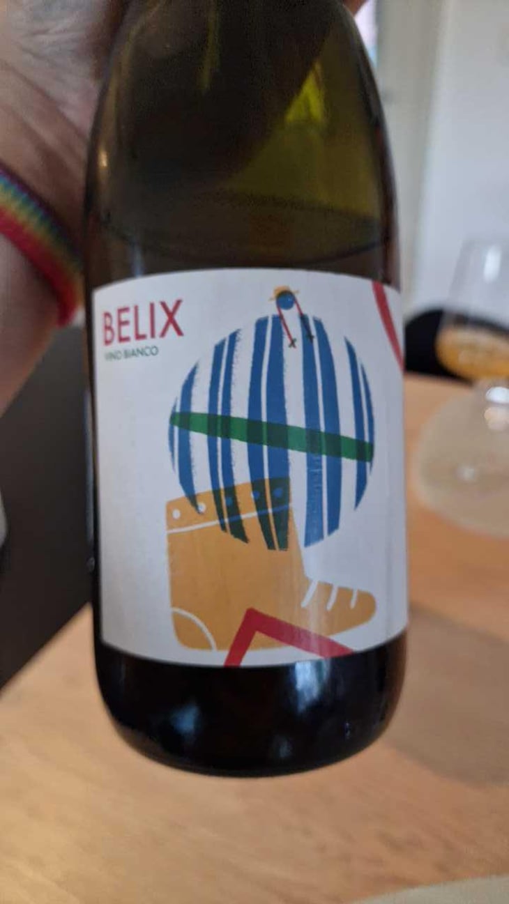 O' Belix - Il Roccolo di Monticelli - Silvia Tezza -2020