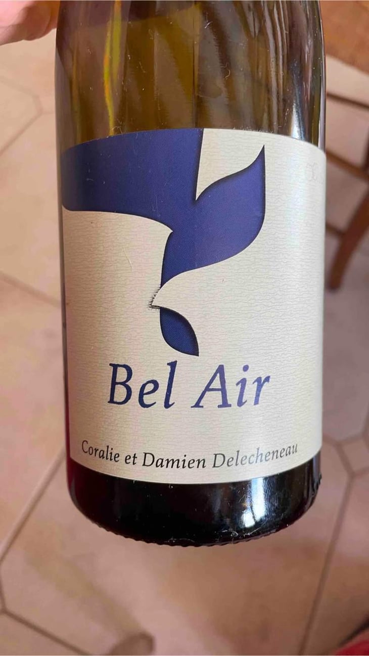 Bel Air - La Grange Tiphaine - Coralie & Damien Delécheneau 