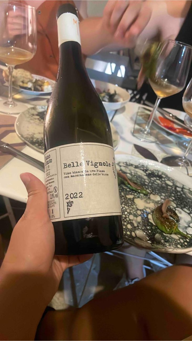 Belle Vignole - Tenuta Macchiarola - Domenico Mangione 