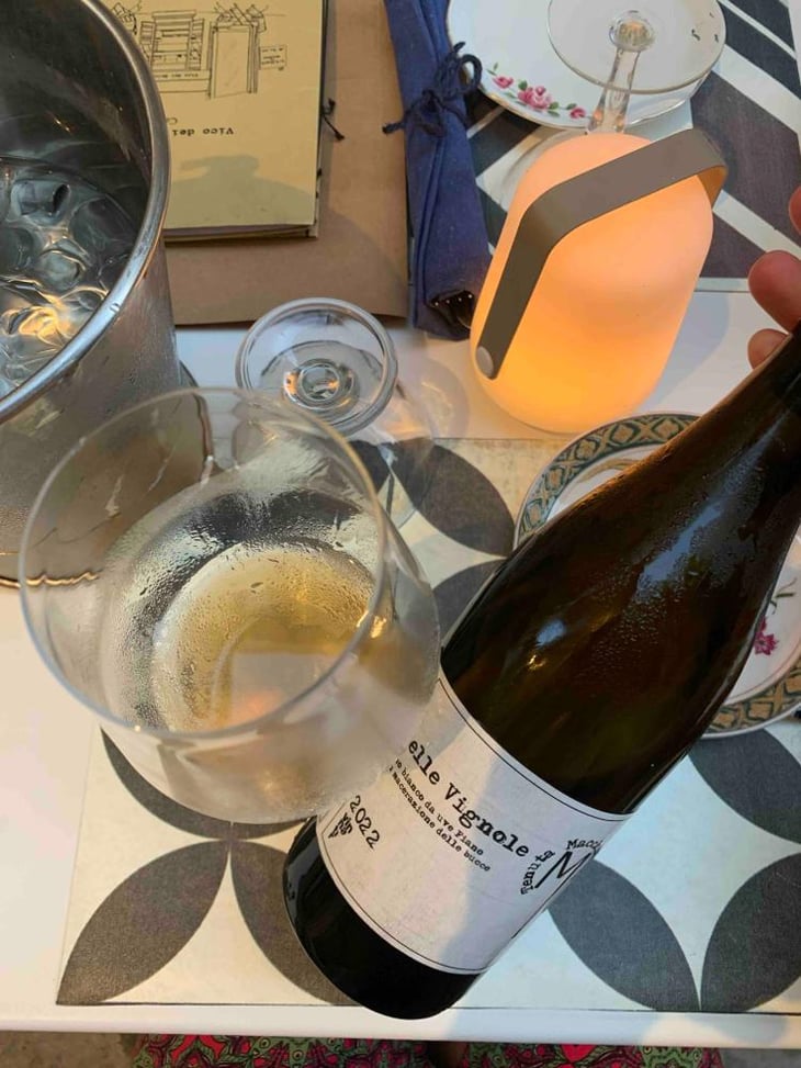 Belle Vignole - Tenuta Macchiarola - Domenico Mangione 