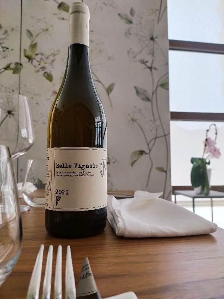 Belle Vignole - Tenuta Macchiarola - Domenico Mangione 