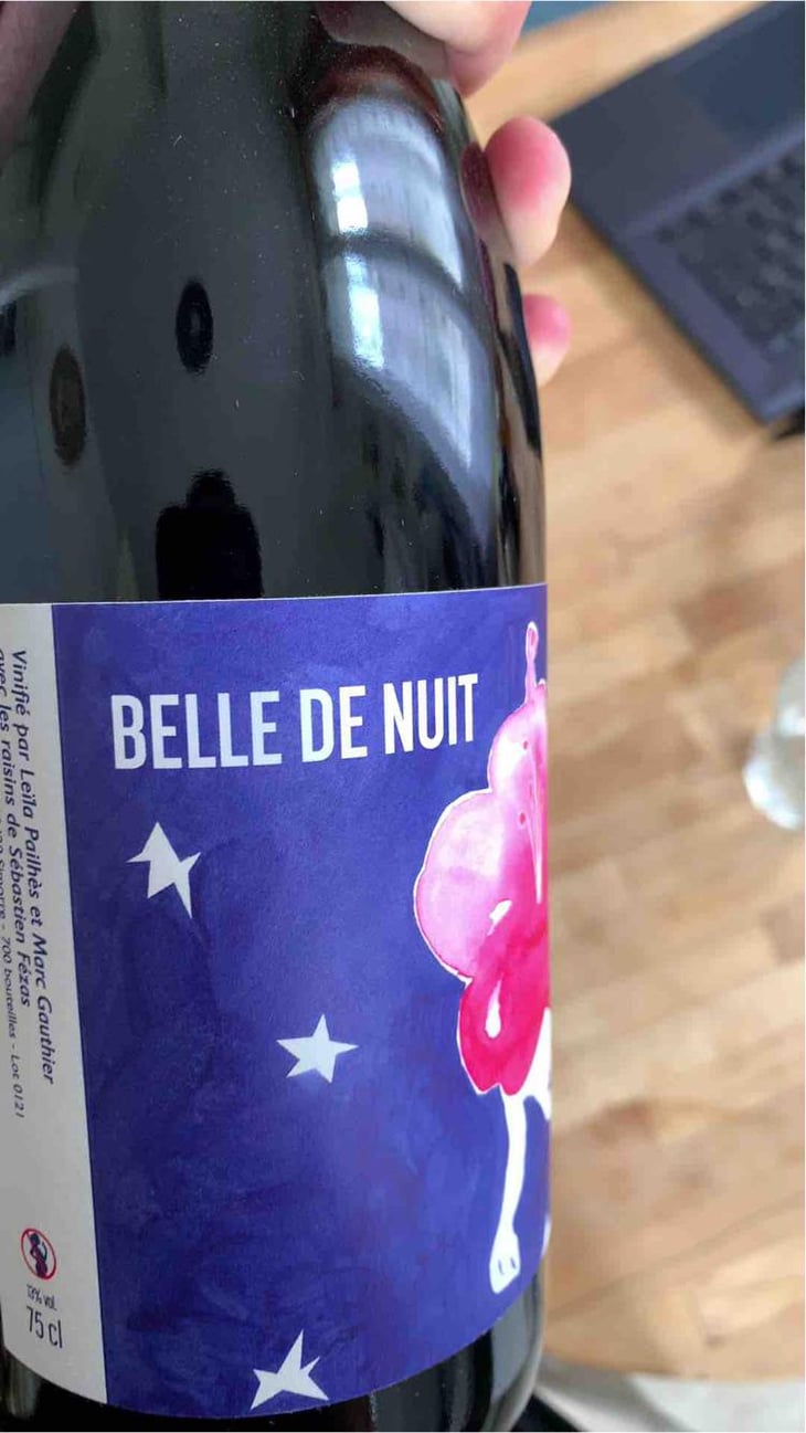 Belles de Nuit - Mille et Une Nuits - Leila Pailhès & Marc Gauthier 