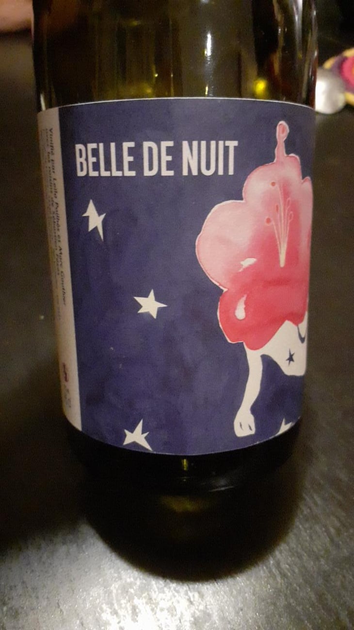 Belles de Nuit - Mille et Une Nuits - Leila Pailhès & Marc Gauthier 