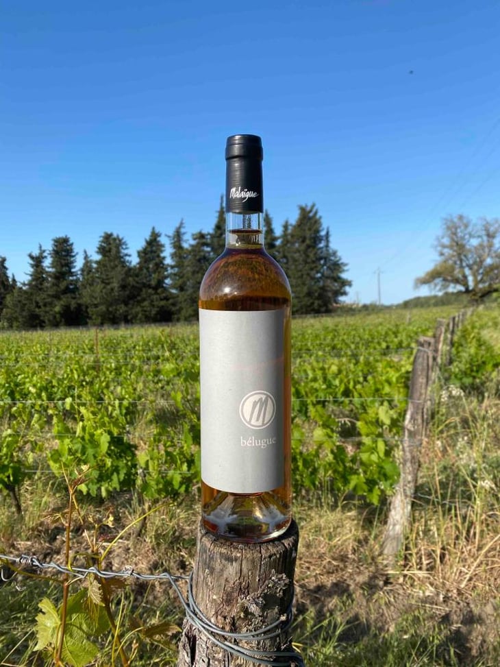 Bélugue - Domaine de Malaïgue - Francois Reboul 