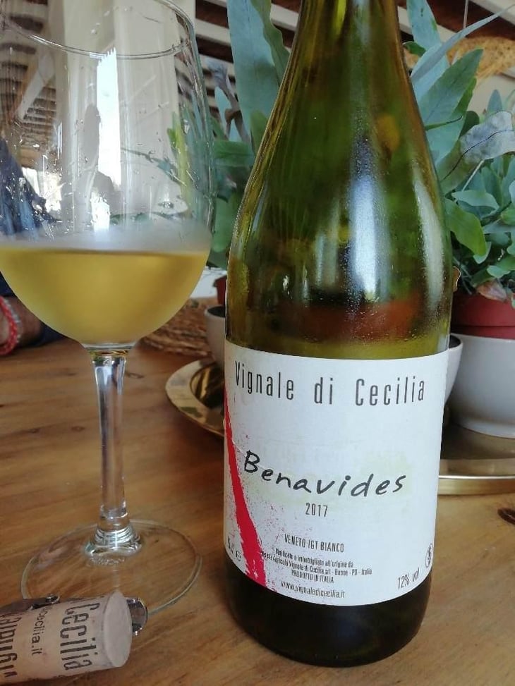 Benavides - Vignale di Cecilia - Paolo Brunello 