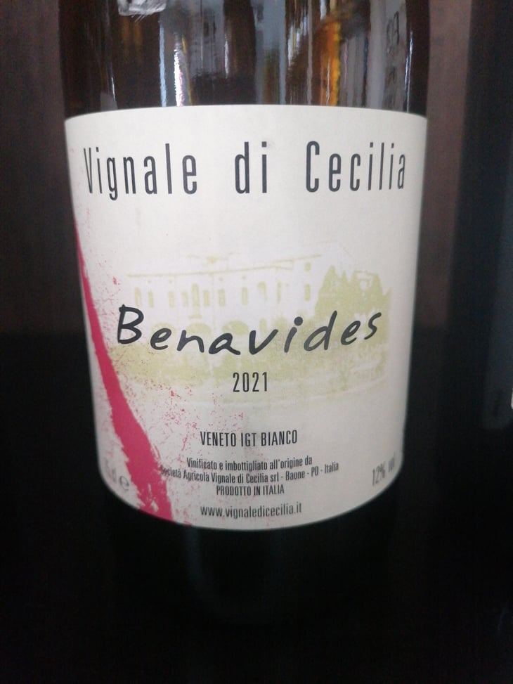 Benavides - Vignale di Cecilia - Paolo Brunello 