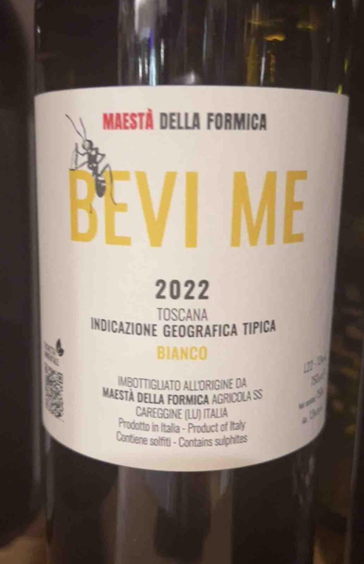 Bevi me - Maestà della formica - Andrea Elmi, Gian Luca Guidi & Marco Raffaelli -2022