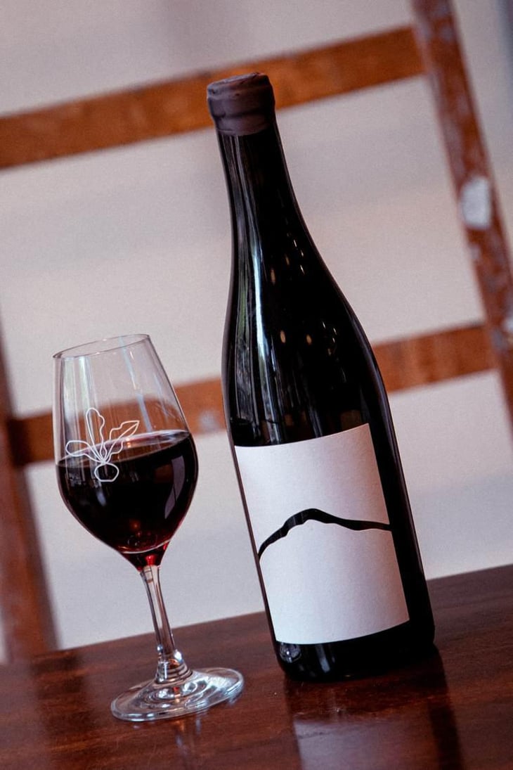 BFF - Joiseph Weingut - Richard Artner, Xandl Kagl & Luka Zeichmann 