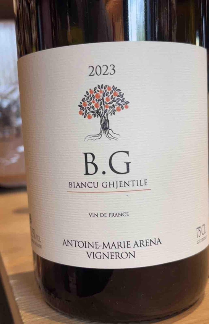 B.G - Antoine-Marie Arena - Antoine-Marie Arena 