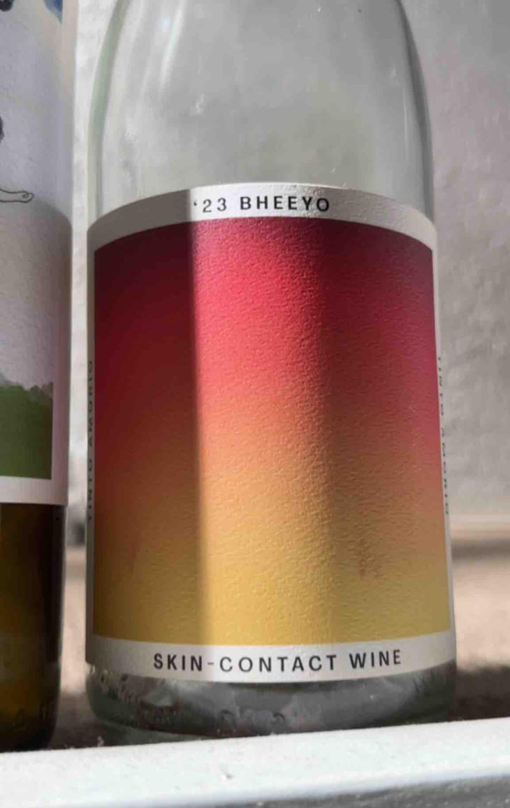 Bheeyo - Tinto Amorio - Anish Patel 