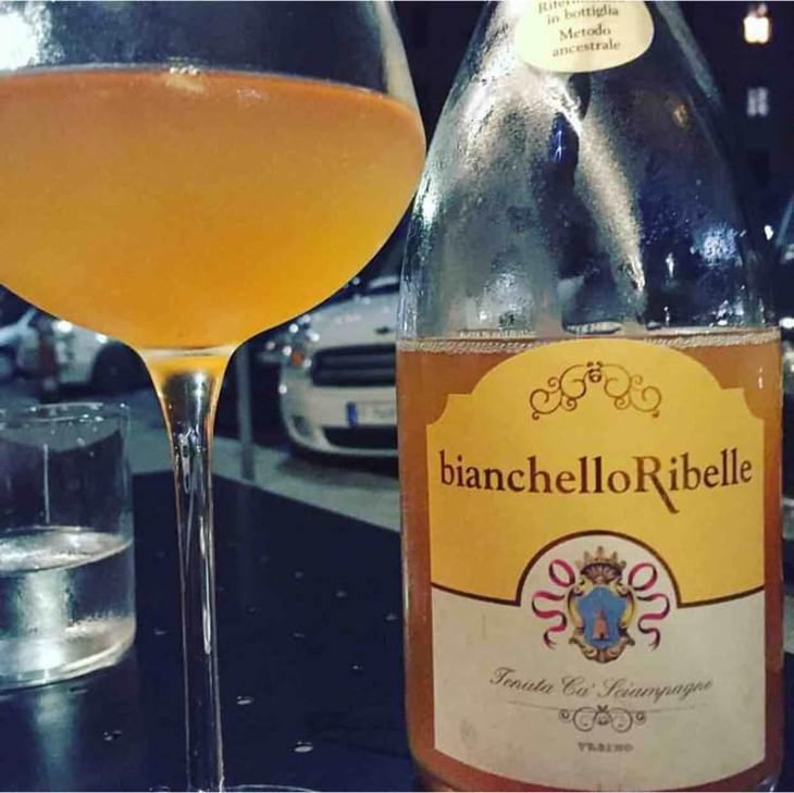 Bianchello Ribelle Frizzante - Tenuta Ca’ Sciampagne - Leonardo Cossi, Paola Grillo 