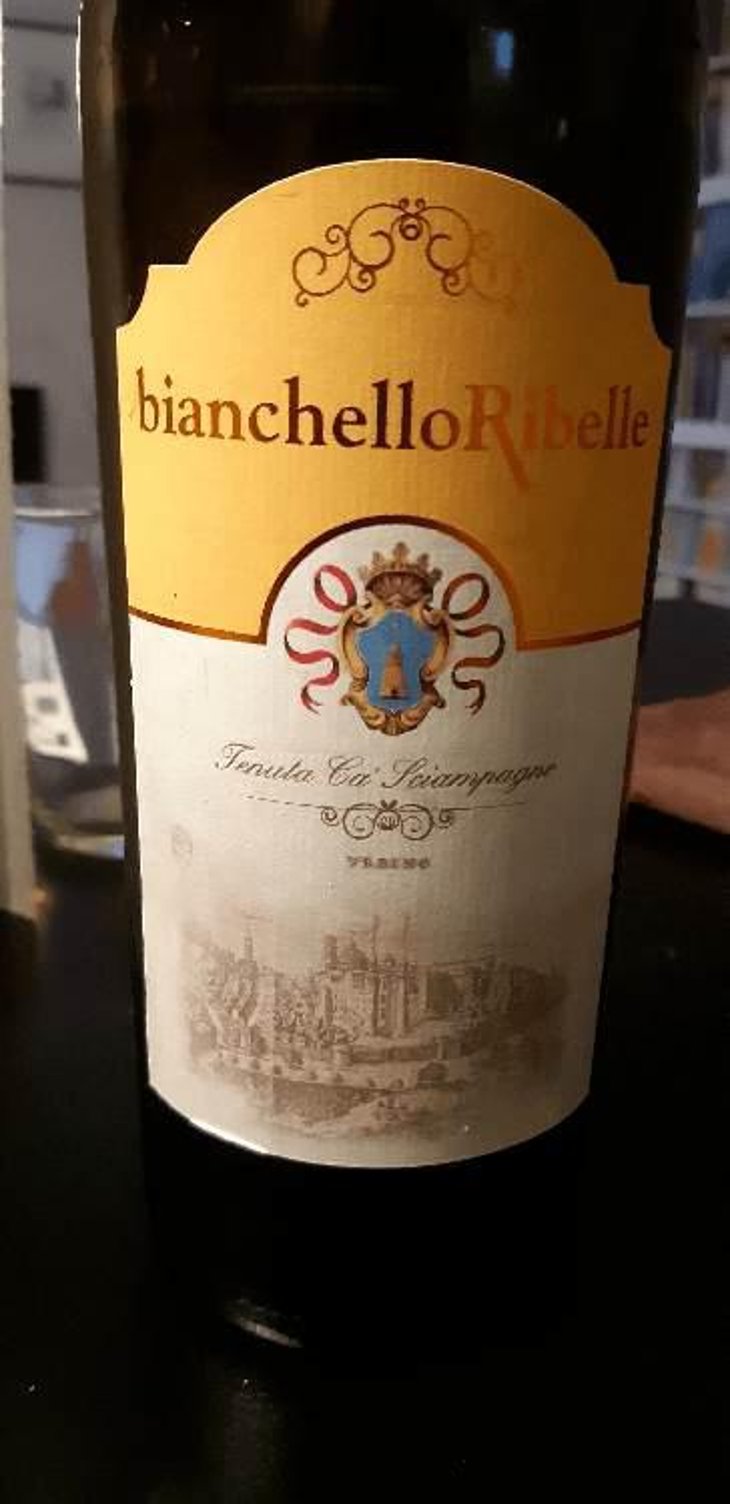 Bianchello Ribelle - Tenuta Ca’ Sciampagne - Leonardo Cossi, Paola Grillo 