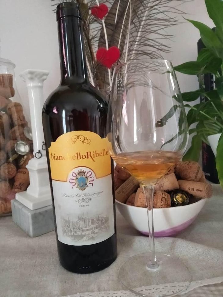 Bianchello Ribelle - Tenuta Ca’ Sciampagne - Leonardo Cossi, Paola Grillo 