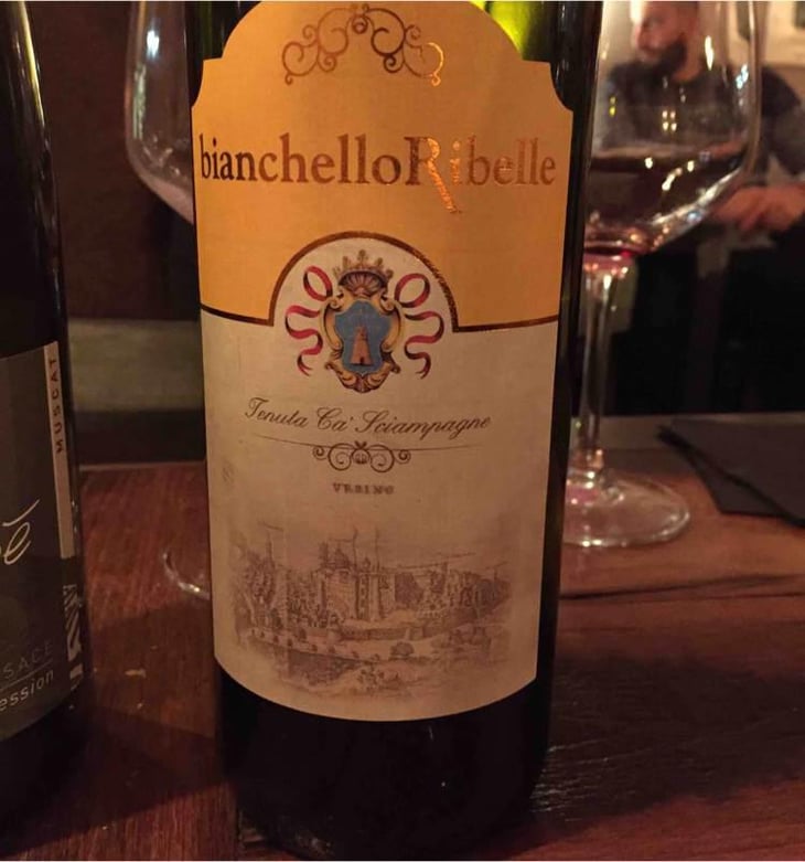 Bianchello Ribelle - Tenuta Ca’ Sciampagne - Leonardo Cossi, Paola Grillo 